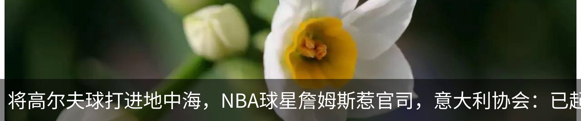 资讯中心